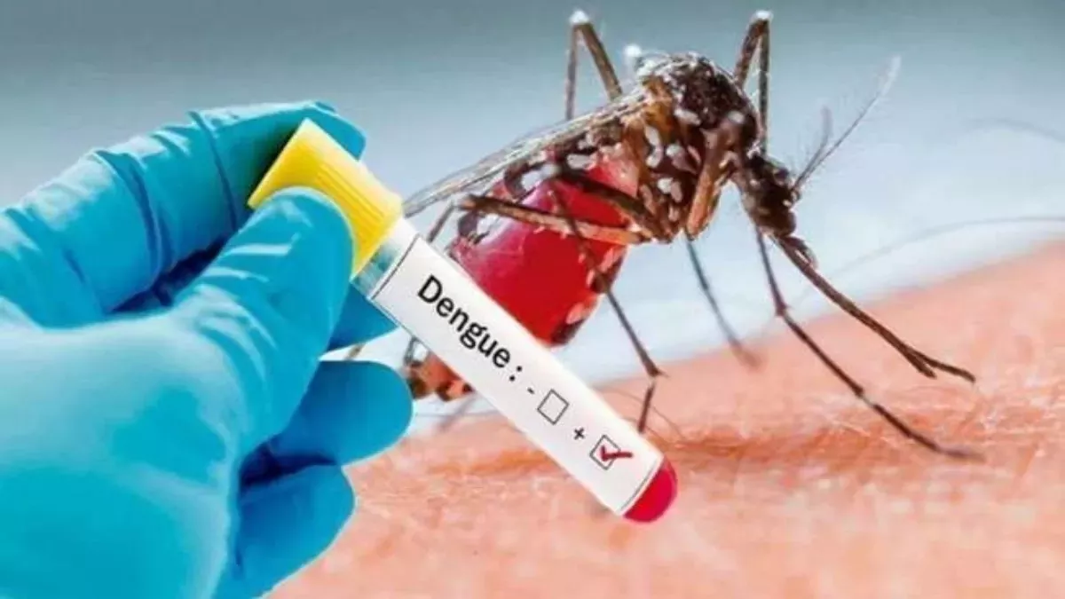 Dengue