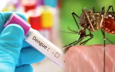 Dengue