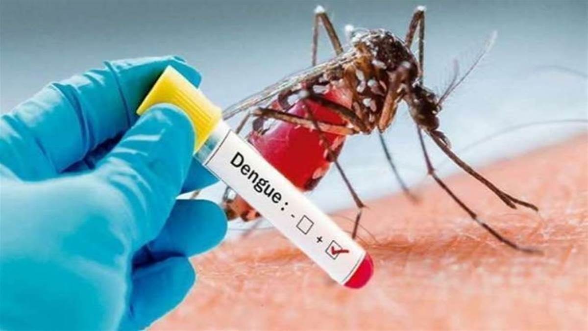 Dengue