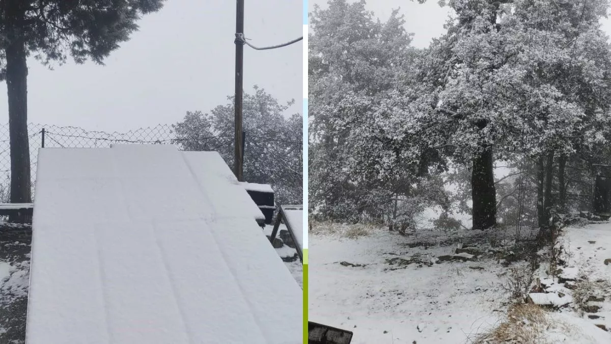 Snowfall in uttarakhand