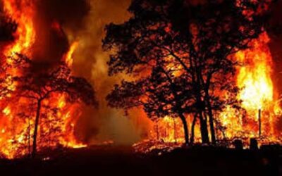 Uttarakhand Forest Fire