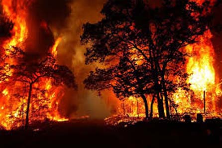 Uttarakhand Forest Fire