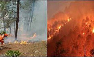 Uttarakhand Forest Fire