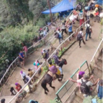 Yamunotri and Gangotri