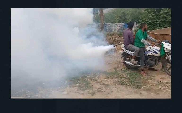 dengue
