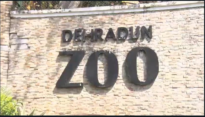 Zoo